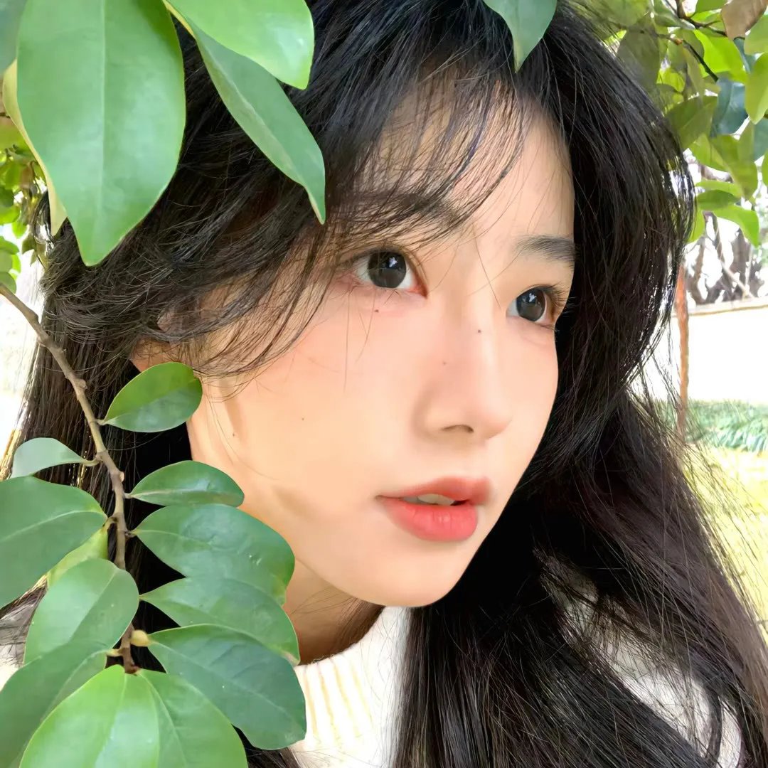 迷失：消失的女人